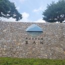 건축 전시 후기 _ 안도 다다오 청춘