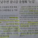 필립코퍼레이션