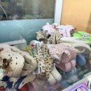 뽑기어때 이미지