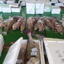 신안맛집 이미지