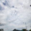 애니골43번길 | [일산 애니골 맛집] 친구 ~ 풍동 야장 맛집 일산 고기집 ‘친구’