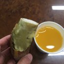 남애초등학교 이미지