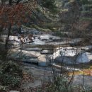 대야산자연휴양림 이미지