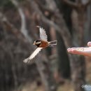 신구대학교식물원 갤러리 우촌 이미지