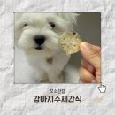 꼬소한댕 이미지