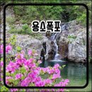 도대2리마을회관 이미지