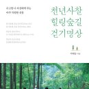 숲 걷기 명상 이미지