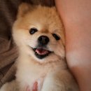 주인아 미용하고가 이미지