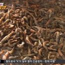 평화식당 이미지