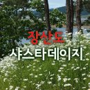 장산 장병준 생가 | 샤스타데이지꽃 축제가 열리는 장산도 차박여행