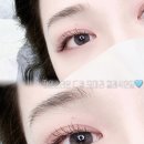 샤니래쉬