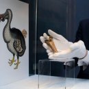 도도바이오 이미지