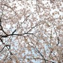 청려수련원 이미지