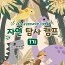 자연이랑캠프
