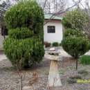 대자연농원 이미지