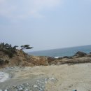 해파랑길(제25구간) Daum카페