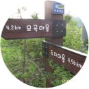 너브내길_2 이미지