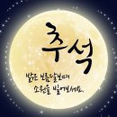 Dr.오즈동물병원 이미지