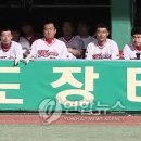 투혼 이미지