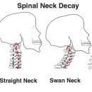 매곡한의원 이미지