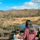1100고지 휴게소 ↔ 제주시 방향 | 제주 1100고지 습지 도로 휴게소 가을 한라산 드라이브 코스