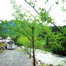 푸른쉼터 이미지