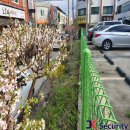 제이케이마트(주)제이케이 네이버블로그