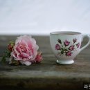 라켓리트리트 네이버블로그