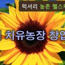 공헌농장 티스토리