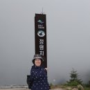 합덕초교 이미지