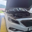 수지점 현대자동차 | [용인 에바크리닝] LF 소나타 에어컨 악취 완벽 제거 _ 용인 수지 내시경 에바크리닝 시공 후기