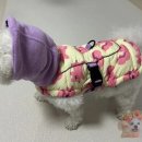 더블히트