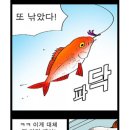 놀이터실내낚시카페 이미지