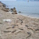 궁촌의 아침 민박 이미지