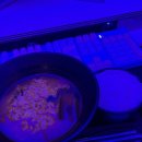 탑플레이스PC방 서울대입구역점 이미지