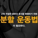 리미트리스 짐 이미지