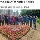 (주)도로시앤컴퍼니 이미지