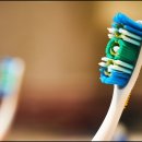 박플란트치과의원 이미지