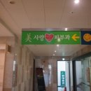 제주코 이미지