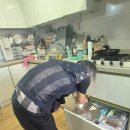 세종시 한밤중 아파트 주방에 날아든 바퀴벌레! 알 낳기 전 원킬방역의 완전 박멸 작업 후기
