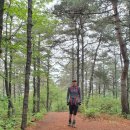 학산금성 이미지