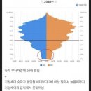 2020년대 출생 세대의 비극 이미지