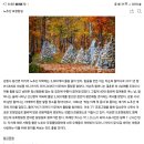 2025 .10/18/61회차 정선 가리왕산 케이블카&amp;모정탑길(진행완료) 이미지
