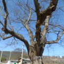 설옥1구 이미지