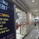 욜로피씨 이미지