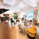 엔젤리너스(조치원점) 이미지