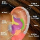 영피어싱 이미지