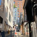명동 가성비 한식 백반집 미래식당 돌솥비빔밥 후기