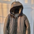 아크테릭스 LEAF COLD WX HOODY LT(GEN2) 자켓 이미지