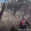 와일드라이더스